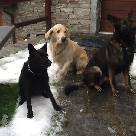 カントリーハウス La Tensa ドモドッソラ