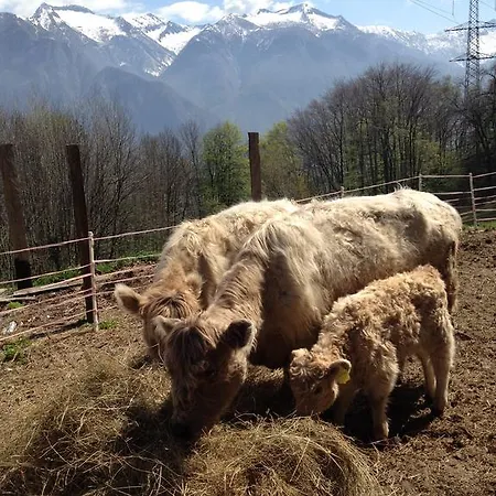 Casa rural La Tensa *