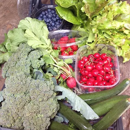 カントリーハウス La Tensa