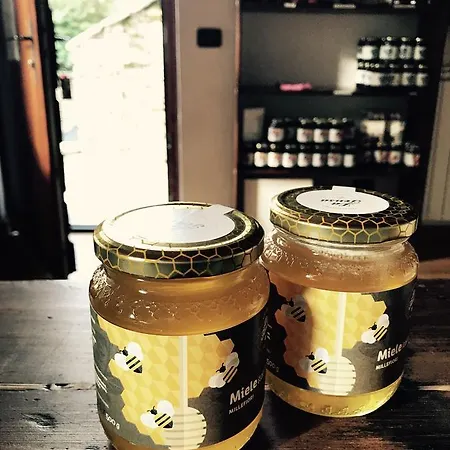 カントリーハウス La Tensa ドモドッソラ